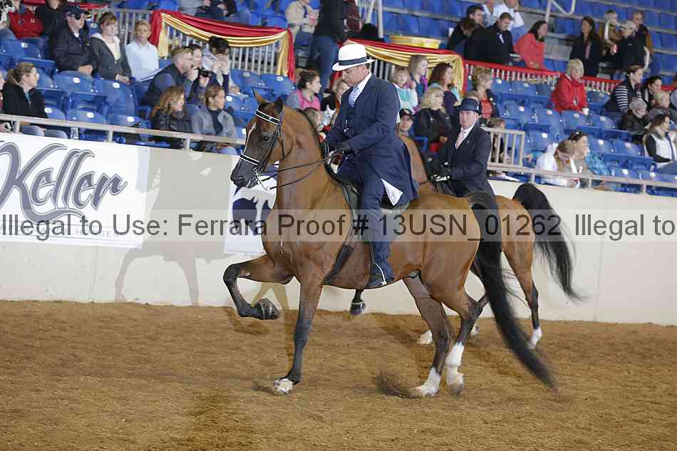 Proof 13usn_01262