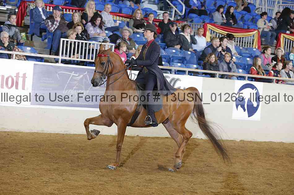 Proof 13usn_01265