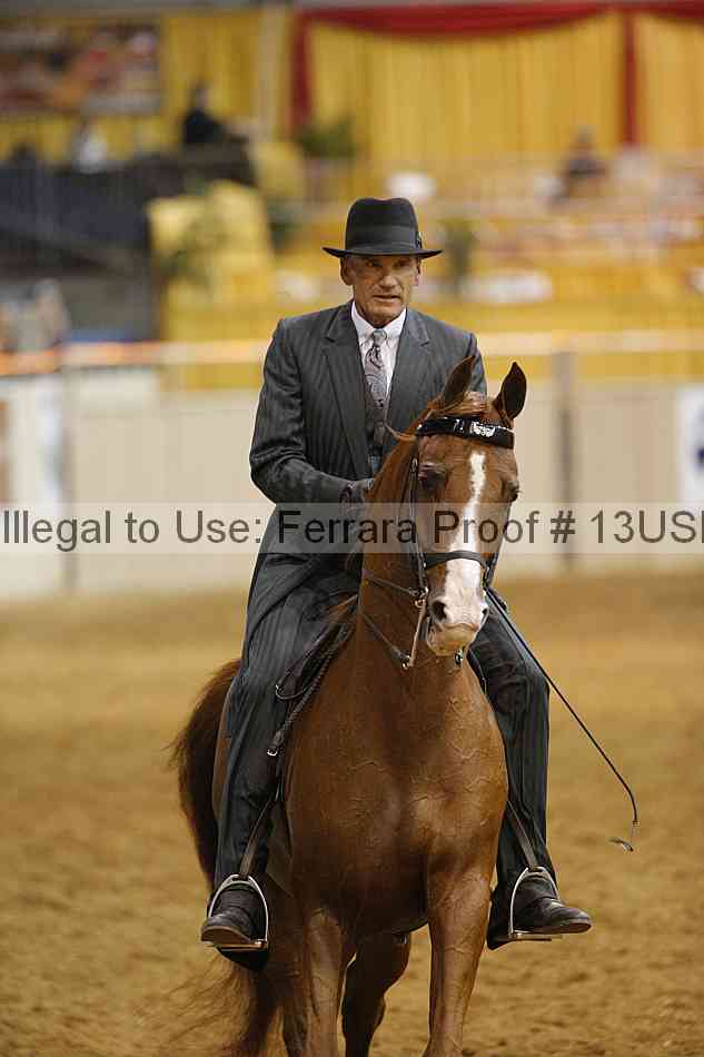 Proof 13usn_01266