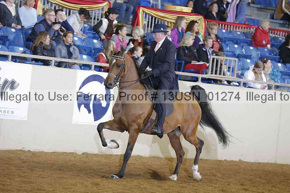 Proof 13usn_01274