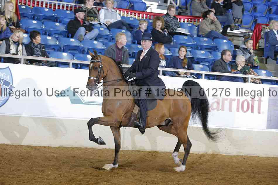 Proof 13usn_01276