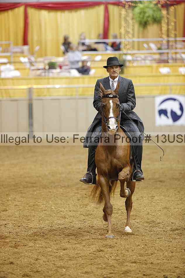 Proof 13usn_01279