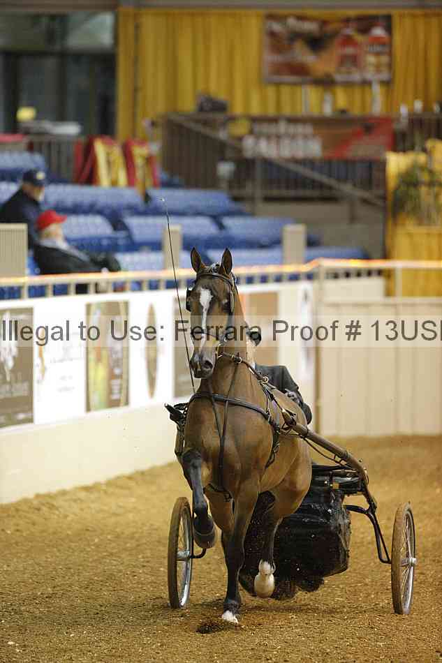 Proof 13usn_17355