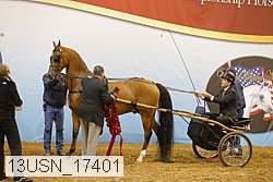 13usn_17401 proof