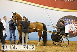 13usn_17402 proof