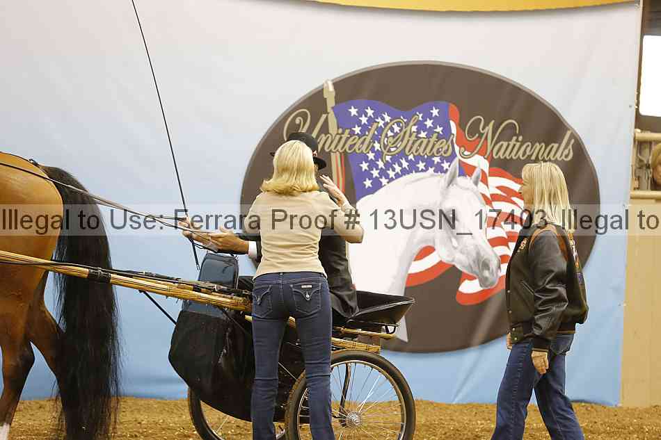 Proof 13usn_17403