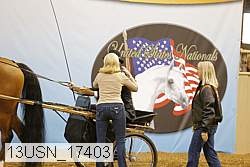 13usn_17403 proof