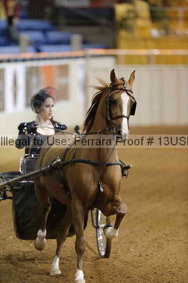 Proof 13usn_05978