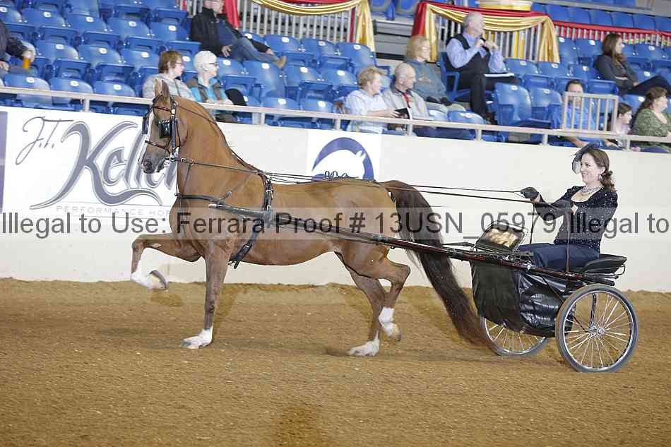 Proof 13usn_05979