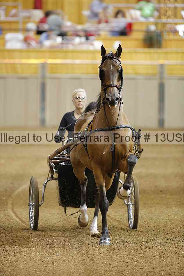 Proof 13usn_05983