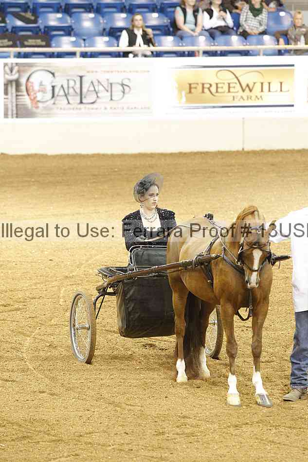 Proof 13usn_05996
