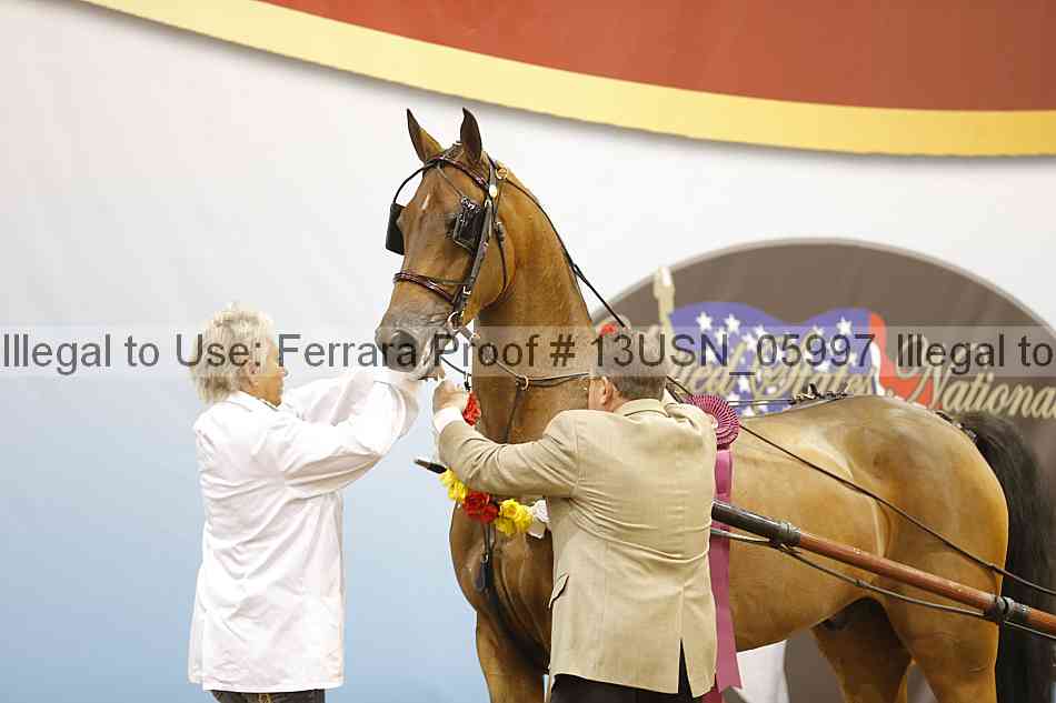 Proof 13usn_05997