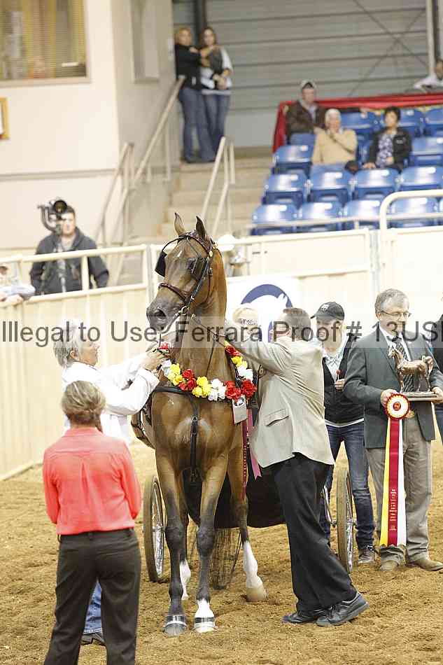 Proof 13usn_06001