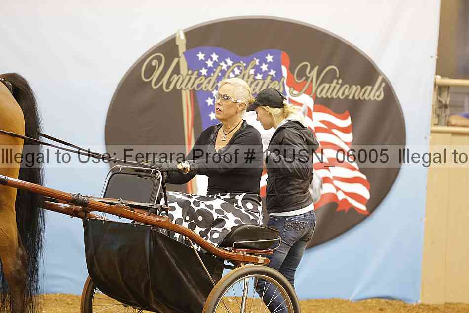 Proof 13usn_06005