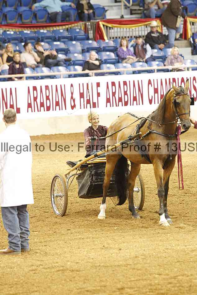 Proof 13usn_06011