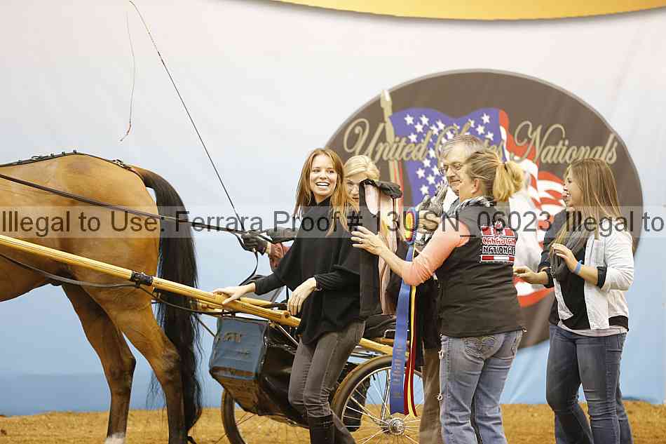 Proof 13usn_06023
