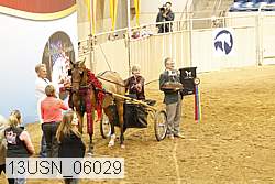13usn_06029 proof