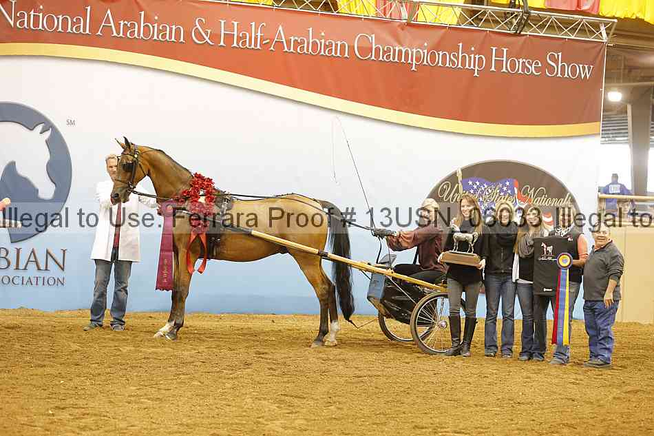 Proof 13usn_06033