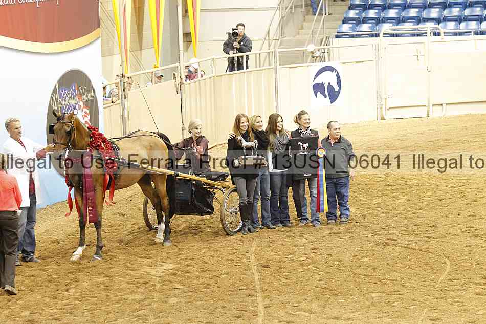 Proof 13usn_06041