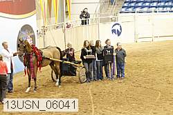 13usn_06041 proof