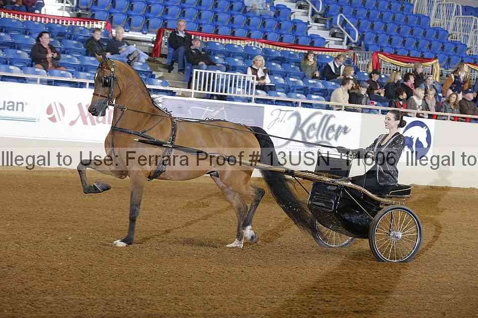 Proof 13usn_11606