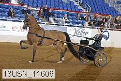 13usn_11606 proof