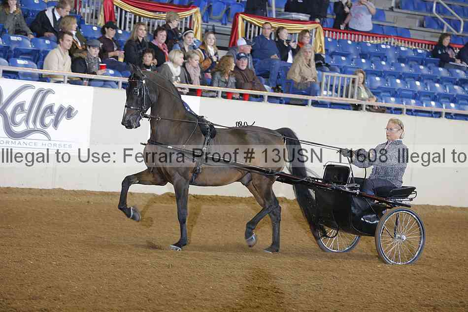 Proof 13usn_11608