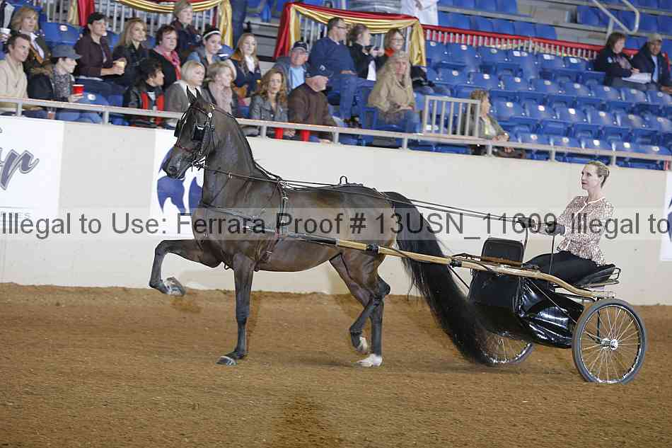 Proof 13usn_11609
