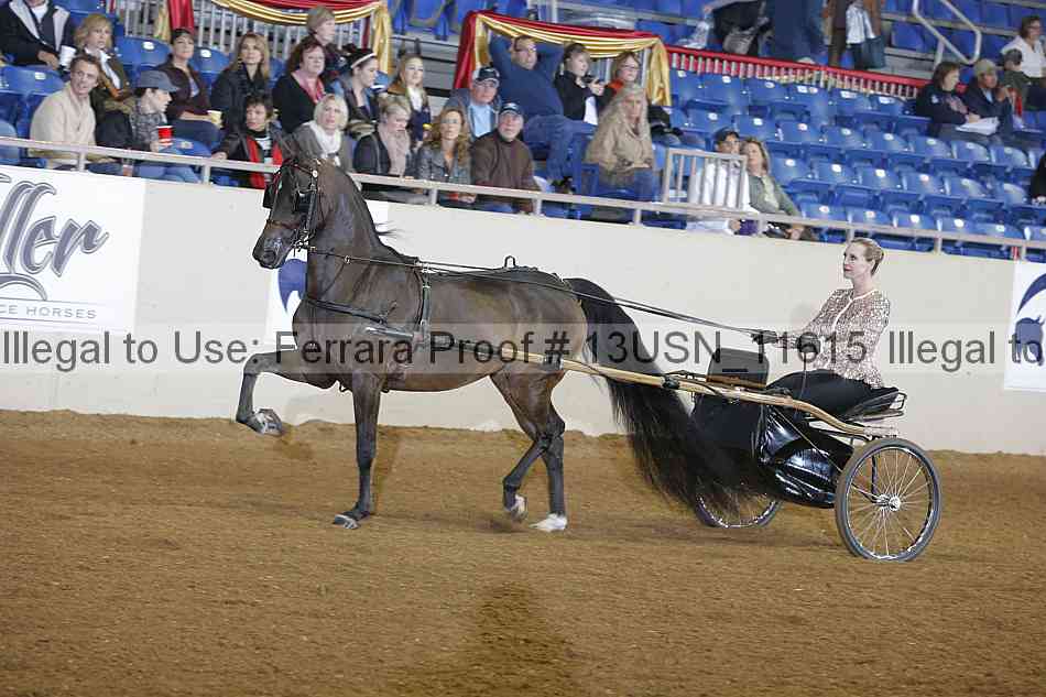 Proof 13usn_11615
