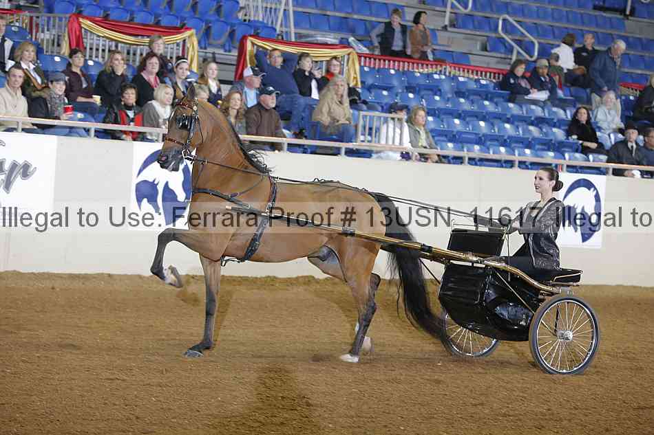 Proof 13usn_11617