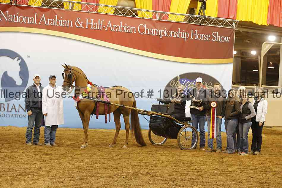 Proof 13usn_11636