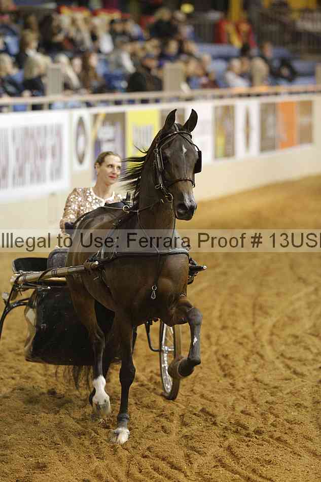 Proof 13usn_11676