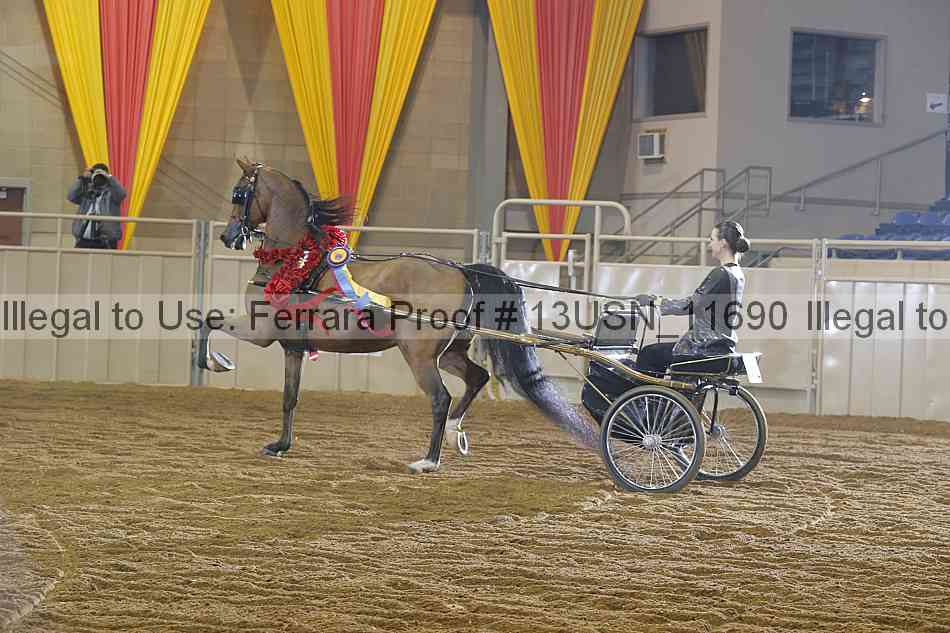 Proof 13usn_11690
