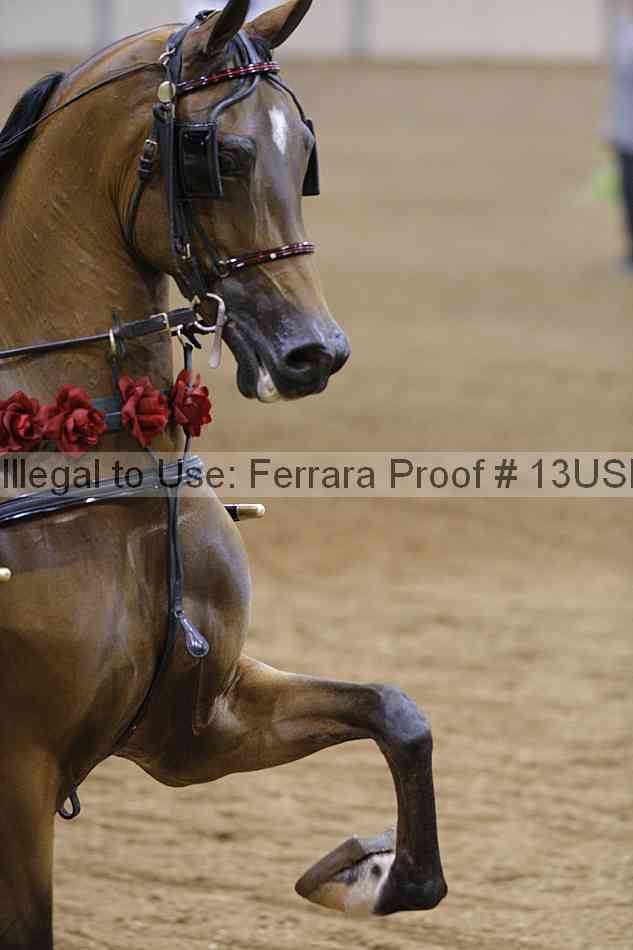 Proof 13usn_11693