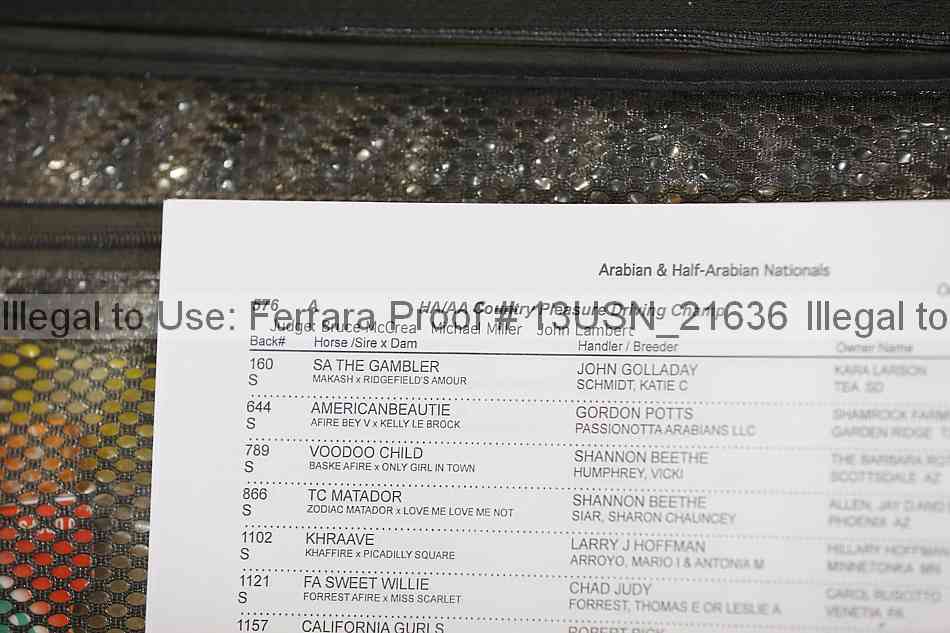 Proof 13usn_21636