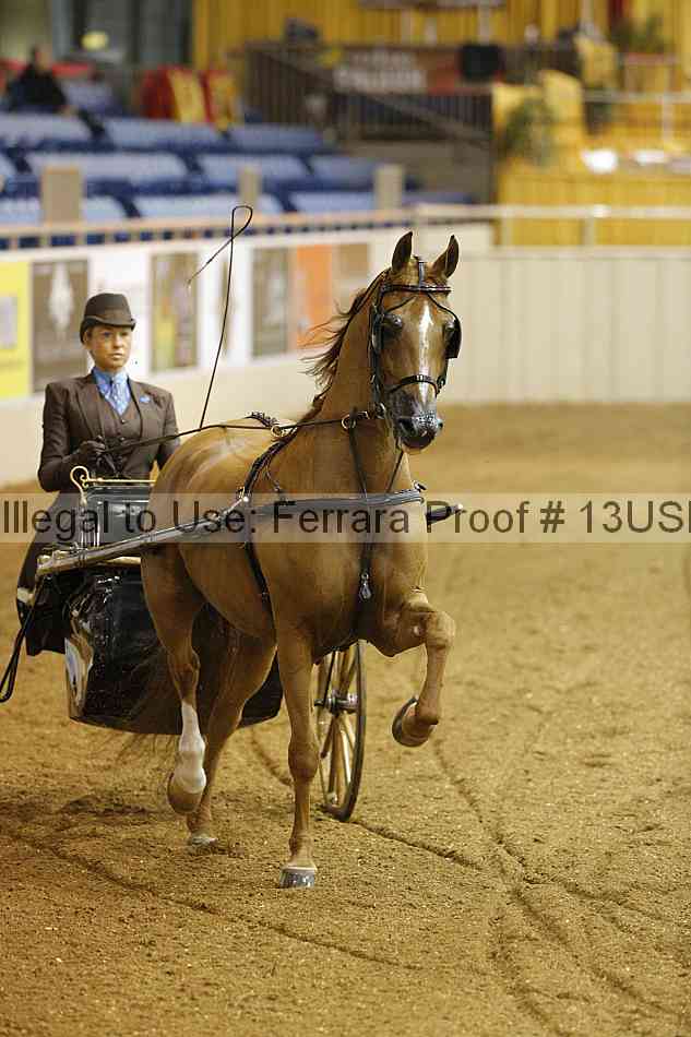 Proof 13usn_21648