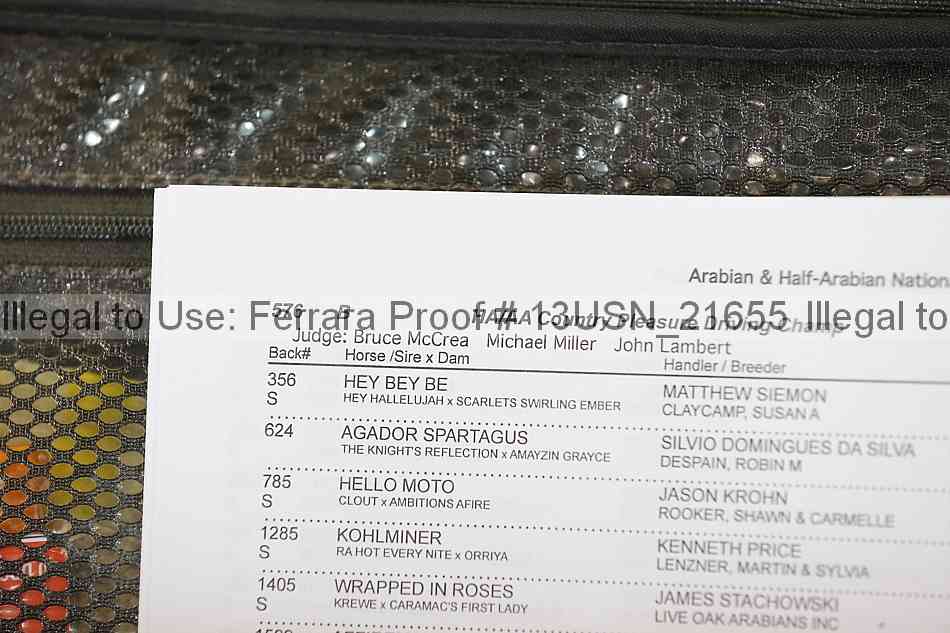 Proof 13usn_21655