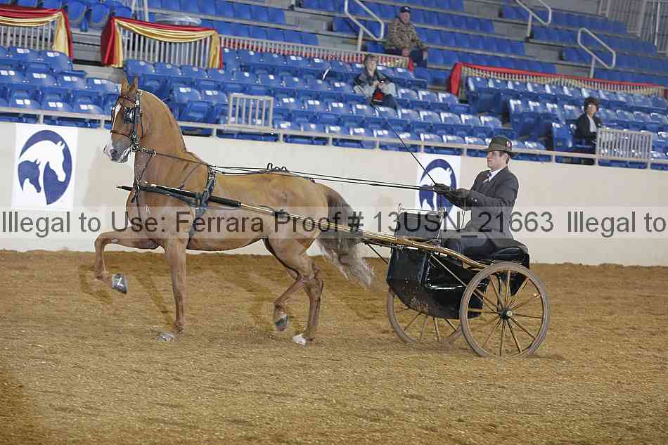 Proof 13usn_21663