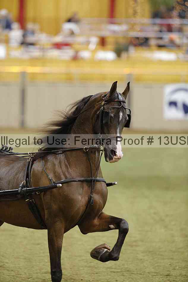 Proof 13usn_32779