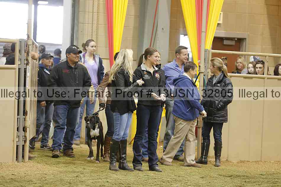 Proof 13usn_32805