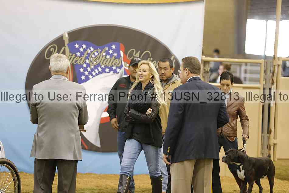 Proof 13usn_32813