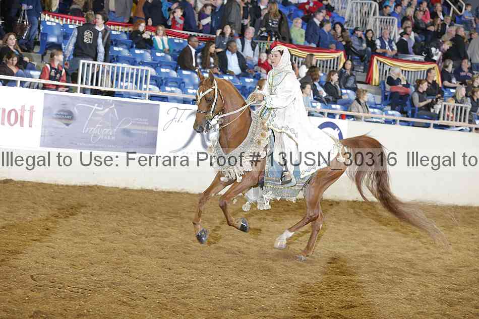 Proof 13usn_30316