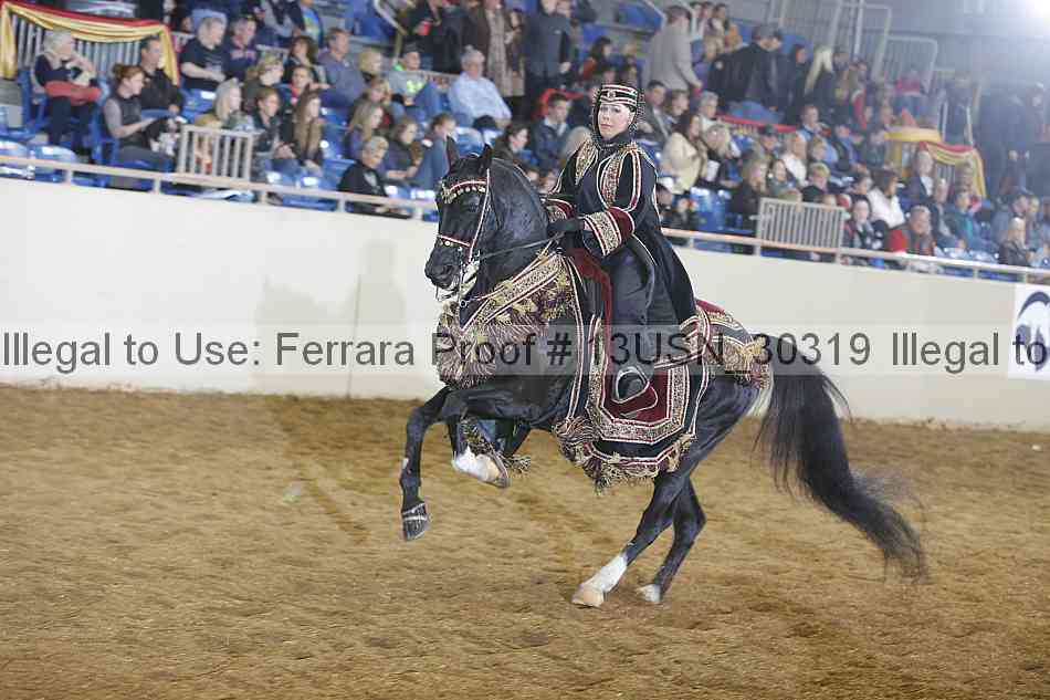 Proof 13usn_30319