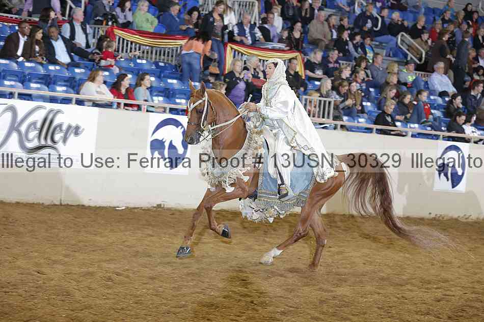 Proof 13usn_30329
