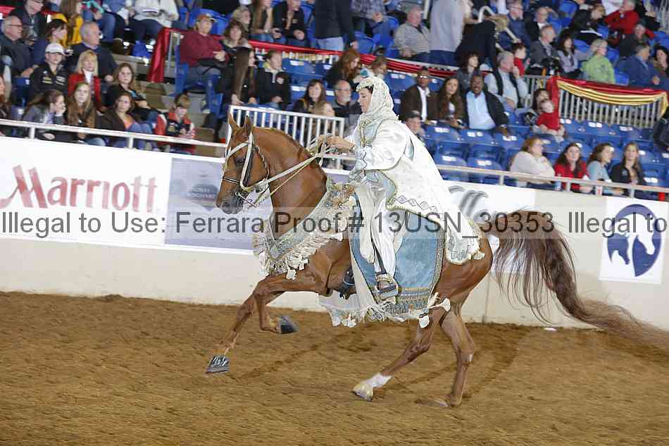 Proof 13usn_30353