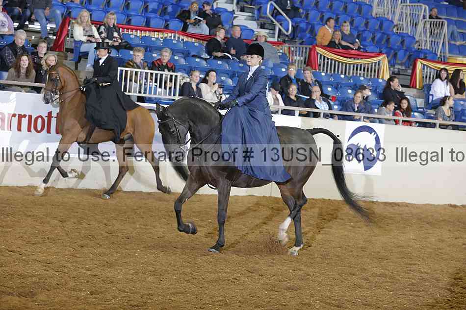 Proof 13usn_08633
