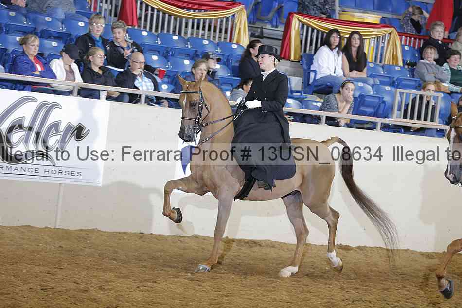 Proof 13usn_08634