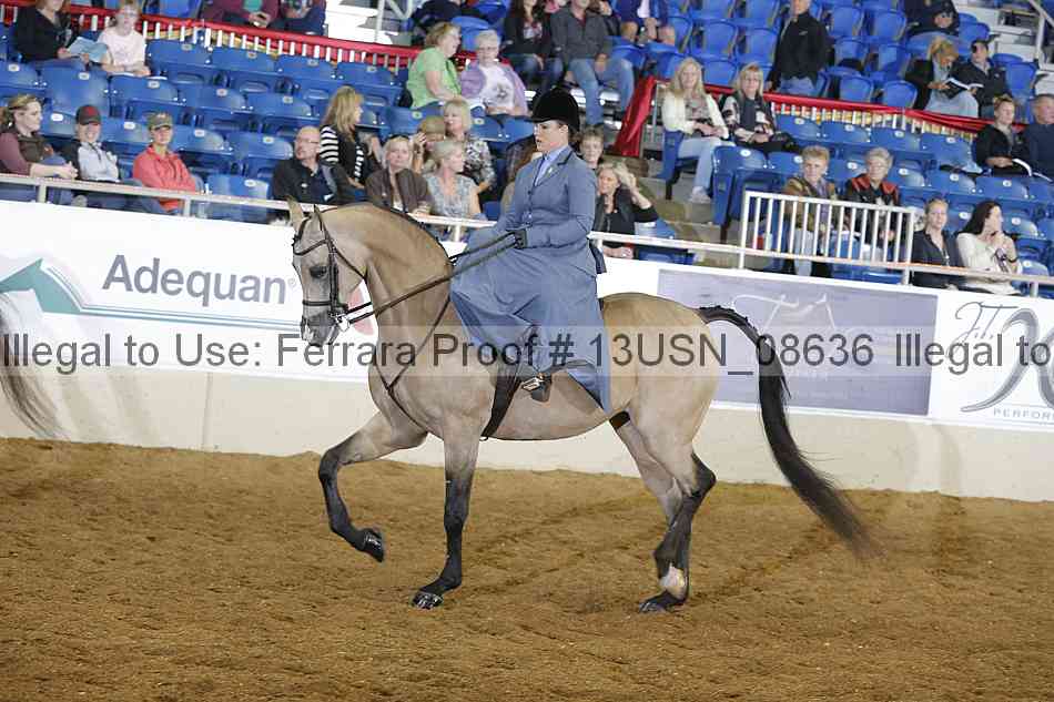 Proof 13usn_08636