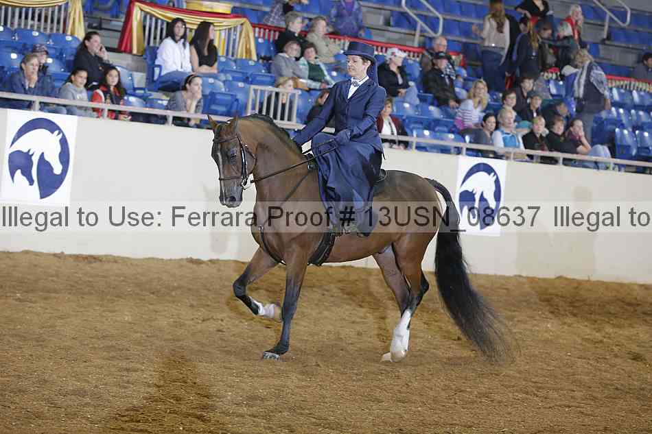 Proof 13usn_08637