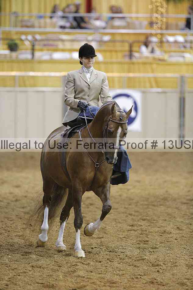 Proof 13usn_08648